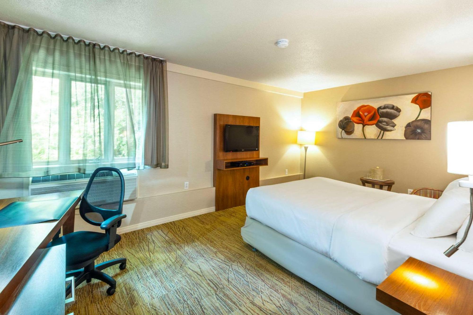 Comfort Inn Mont Laurier Exteriér fotografie